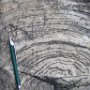 Stromatolites, Rantamaa dolomite quarry, Finland (Fot. Katariina Heino)